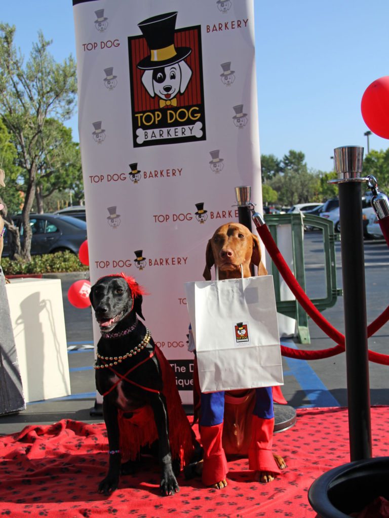 TOP DOG Barkery Hunter and Gracie