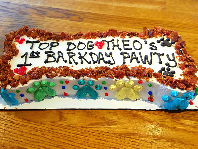 Barkday Pawty Cake