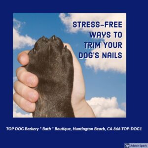 Stress-Free Dog Nail Trimming - Dog Grooming