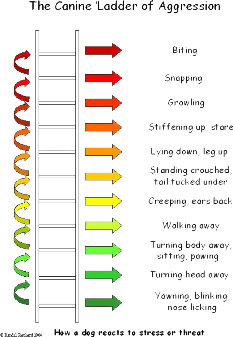 Aggression ladder with colored arrows and labels.