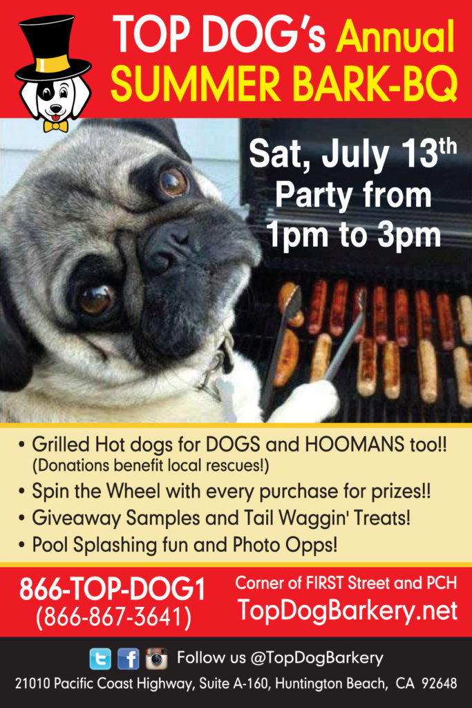 Dog event poster with grill and pug.