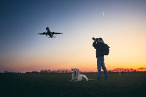 Person photographing plane, dog nearby at sunset.